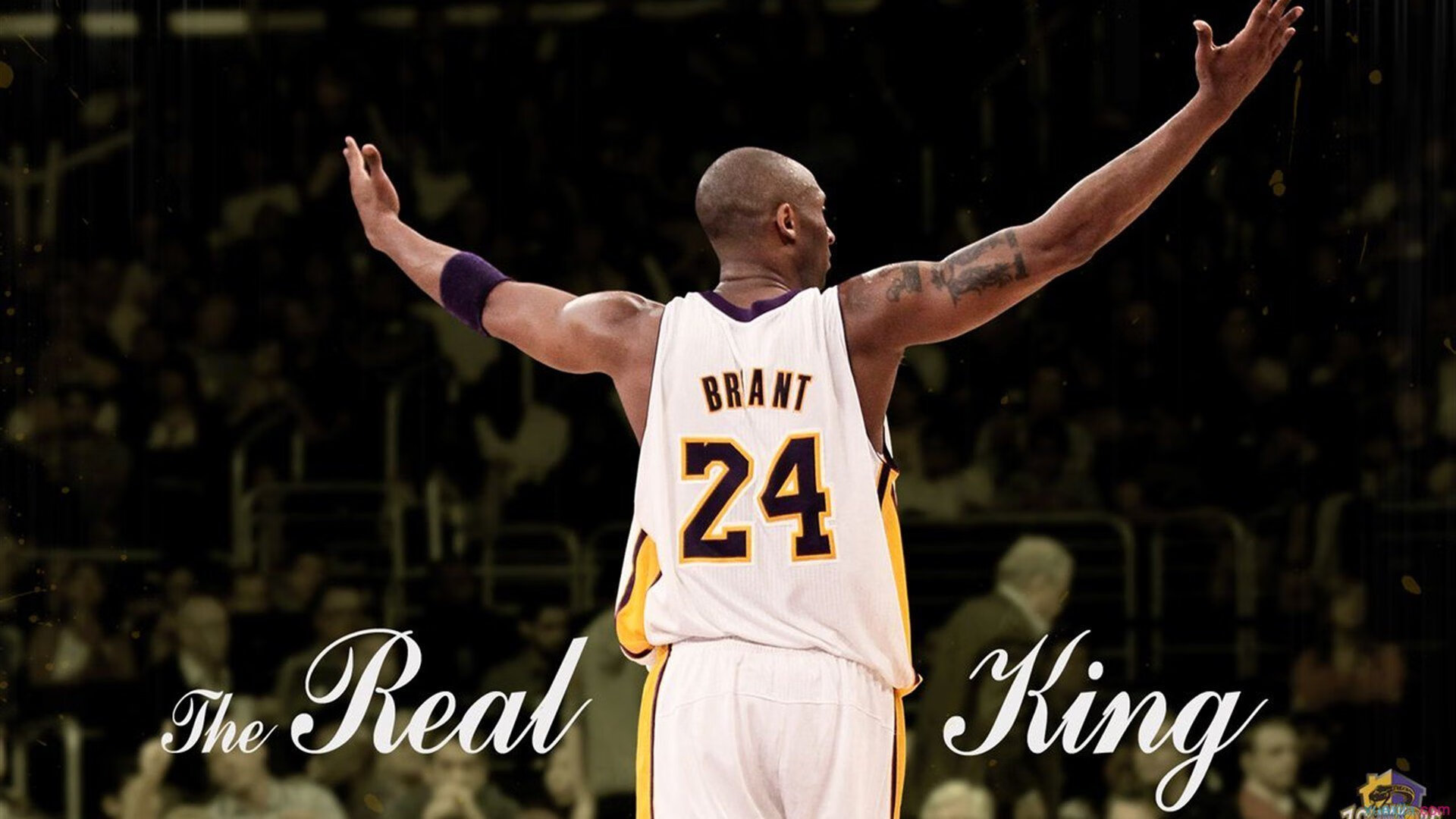 九游体育平台-冠军之谜：预测今年的总冠军归属，冠军即将诞生